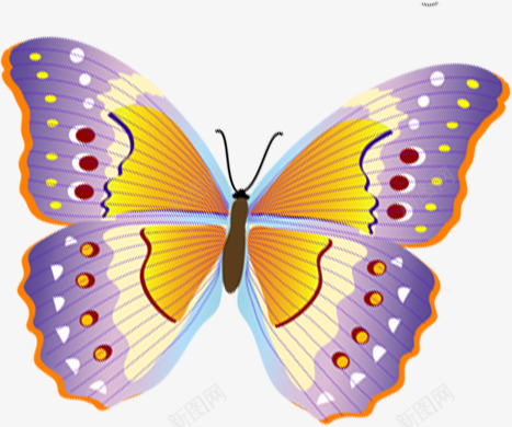 紫色斑点夏季蝴蝶png免抠素材_新图网 https://ixintu.com 夏季 斑点 紫色 蝴蝶