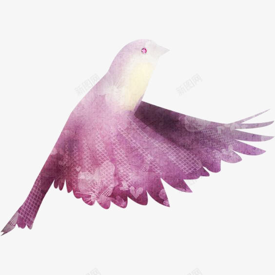 鸽子png免抠素材_新图网 https://ixintu.com 动物 小鸟 手绘鸽子 水彩鸽子 紫色