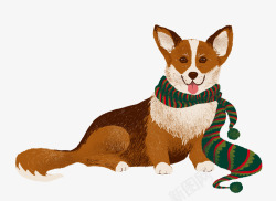 冬季流苏围巾系着围巾的可爱小狗高清图片
