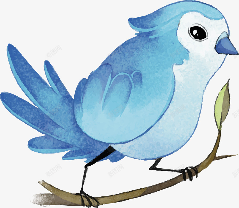 水彩蓝色手绘小鸟png免抠素材_新图网 https://ixintu.com 小鸟 手绘的鸟 春鸟 水彩小鸟 矢量png 蓝色的鸟