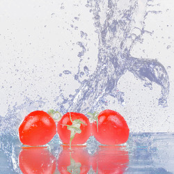 水中西红柿素材
