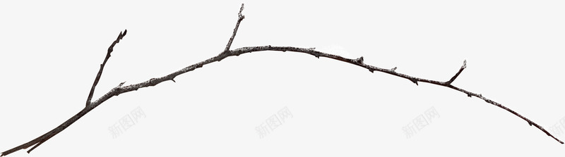 干枯的树枝png免抠素材_新图网 https://ixintu.com 冬季树枝 冬季植物 树枝 萧条树枝
