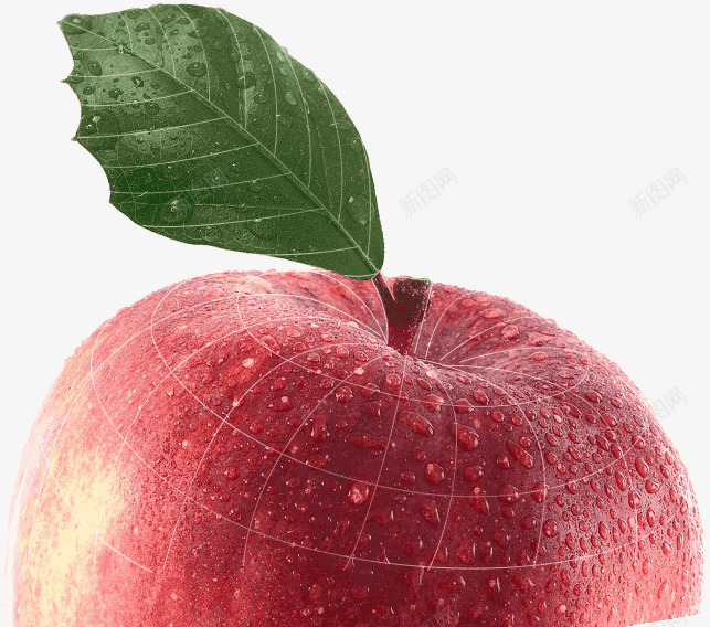 苹果绿叶新鲜水果png免抠素材_新图网 https://ixintu.com 新鲜 水果 绿叶 苹果