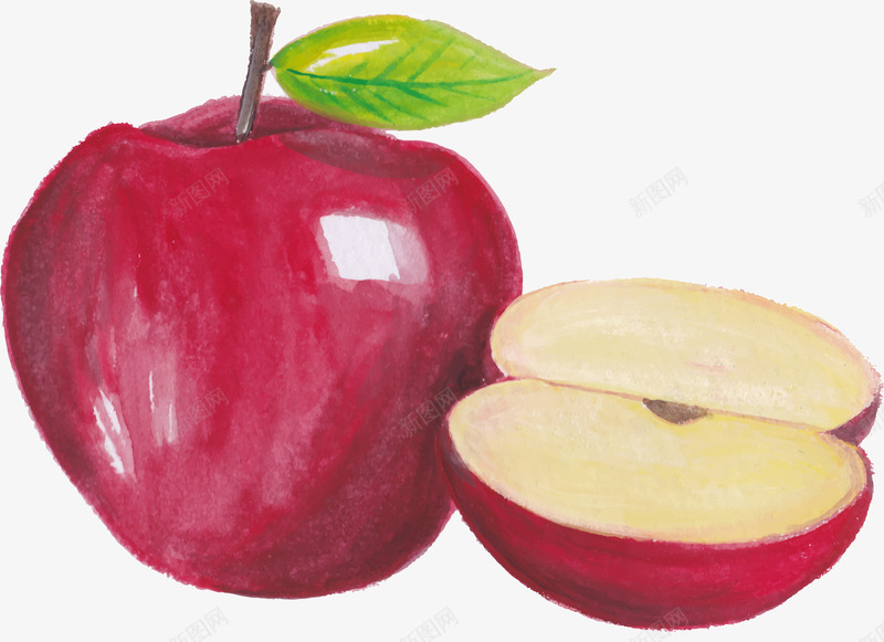 手绘红苹果png免抠素材_新图网 https://ixintu.com 健康饮食 水果 矢量素材 红苹果 苹果