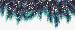 冬季松枝绿色冬日积雪松枝高清图片