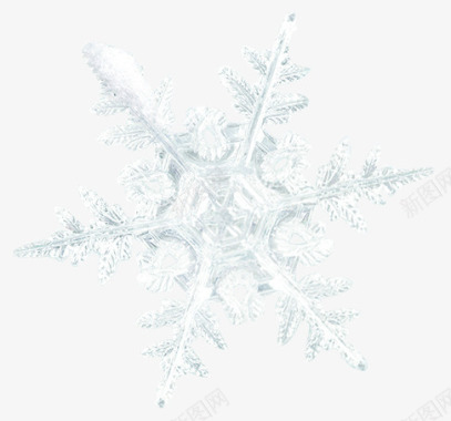 清新白色冬季雪花图标图标