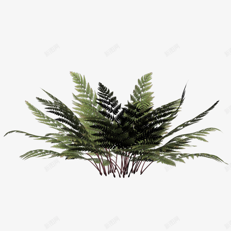 冬树png免抠素材_新图网 https://ixintu.com 冬季 冬树 小草 树木 植物 花草