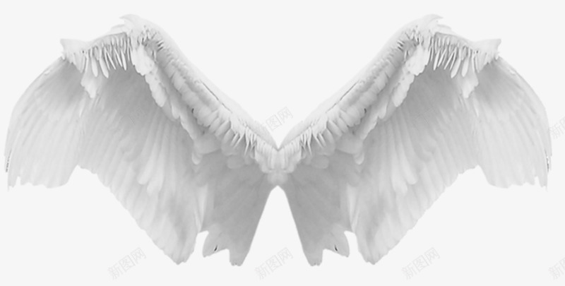 灰色漂亮翅膀png免抠素材_新图网 https://ixintu.com 创意翅膀 漂亮翅膀 灰色翅膀 翅膀
