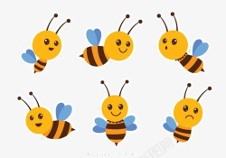 蜜蜂黄色昆虫素材