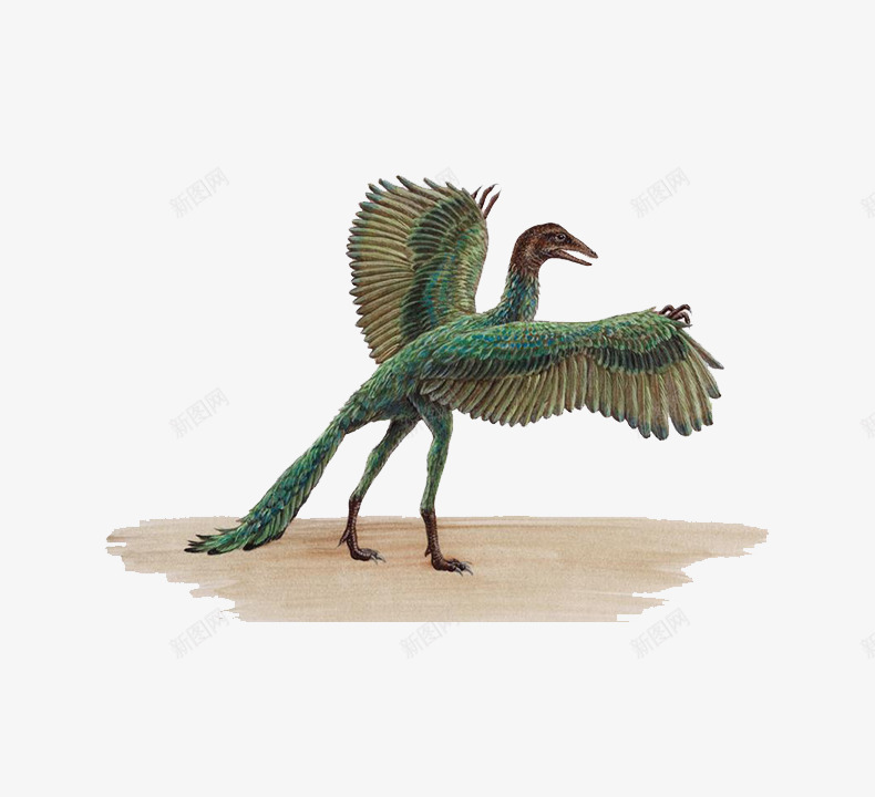 长翅膀的恐龙png免抠素材_新图网 https://ixintu.com 侏罗纪 动物 恐龙 翅膀 青色