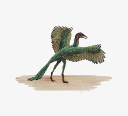 侏罗纪动物长翅膀的恐龙高清图片