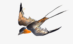 彩色的燕子卡通手绘飞翔的燕子高清图片