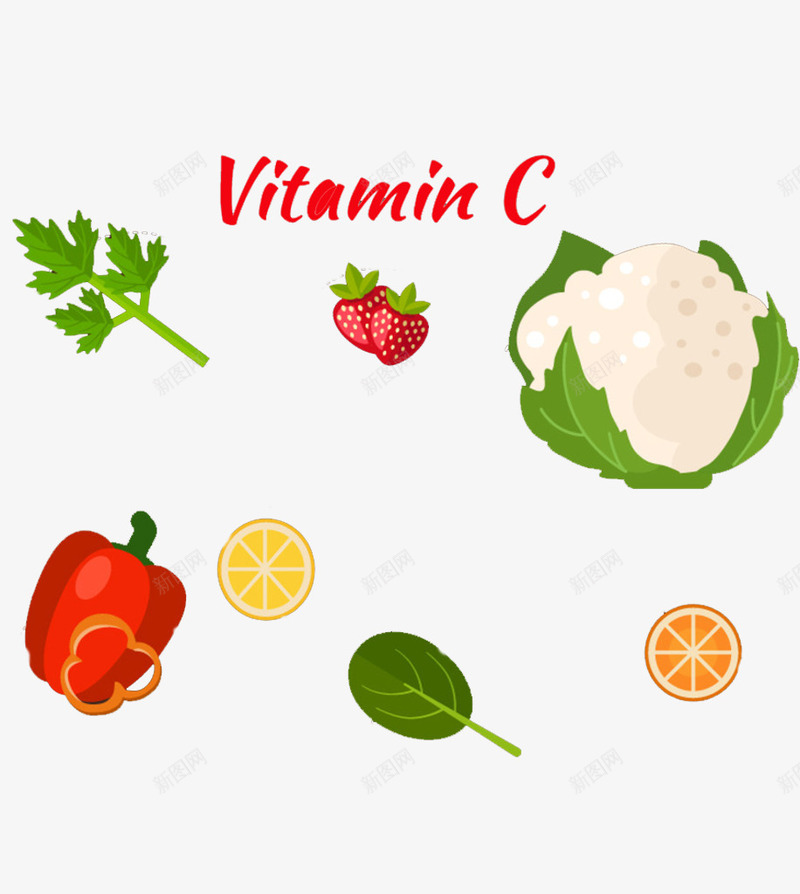 有机蔬菜png免抠素材_新图网 https://ixintu.com 卡通 手绘 简笔 红色的 维他命C 维生素 艺术字 蔬菜