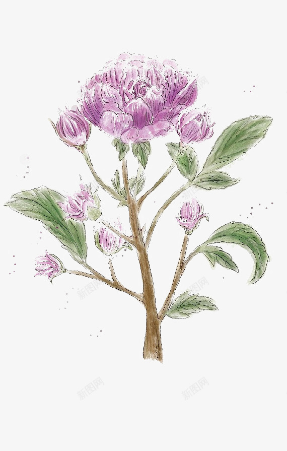 卡通紫花绿叶装饰png免抠素材_新图网 https://ixintu.com 促销装饰 卡通紫花装饰 女装店铺装饰 淘宝紫花绿叶 清新主题 电商 电铺装饰