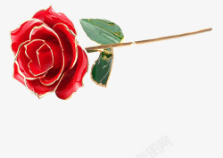 24金玫瑰红色金箔玫瑰高清图片