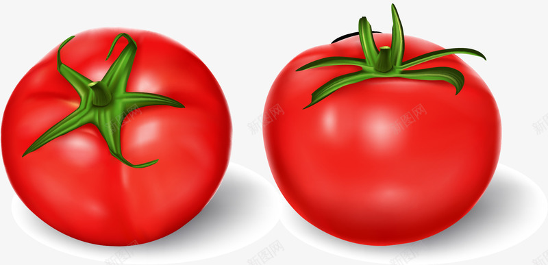 手绘西红柿矢量图ai免抠素材_新图网 https://ixintu.com 两个西红柿 手绘 水果 番茄 红色的番茄 蔬菜 西红柿 矢量图