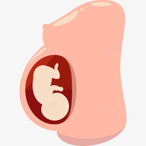 妊娠图标png_新图网 https://ixintu.com 人 保健和医疗 女性 妊娠 怀孕 生殖 生育