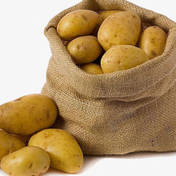 一袋土豆素材