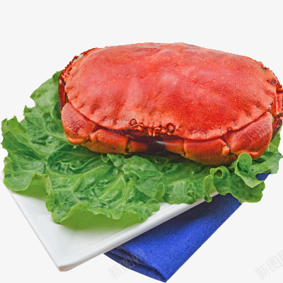 蔬菜面包蟹png免抠素材_新图网 https://ixintu.com 产品实物 实物 海鲜 蔬菜 面包蟹