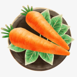 胡萝卜食材新鲜胡萝卜手绘插画高清图片