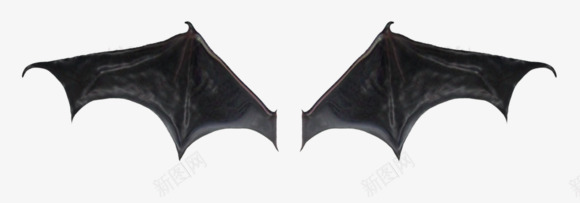 蝙蝠的翅膀png免抠素材_新图网 https://ixintu.com 蝙蝠的翅膀