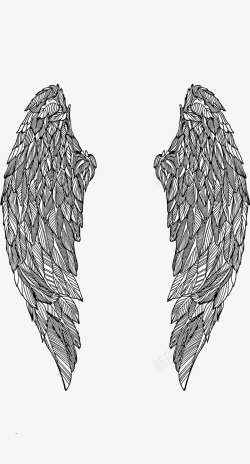 写实的翅膀手绘写实天使大翅膀图矢量图高清图片