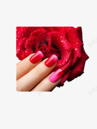 美甲png免抠素材_新图网 https://ixintu.com 女人的手 女性手指 彩色指甲 涂指甲油的手指图片 美甲 美甲造型
