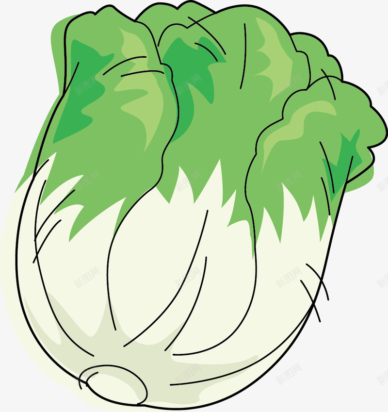 一棵白菜png免抠素材_新图网 https://ixintu.com 一棵 卡通 手绘 白色 白菜 白菜帮 绿色 蔬菜