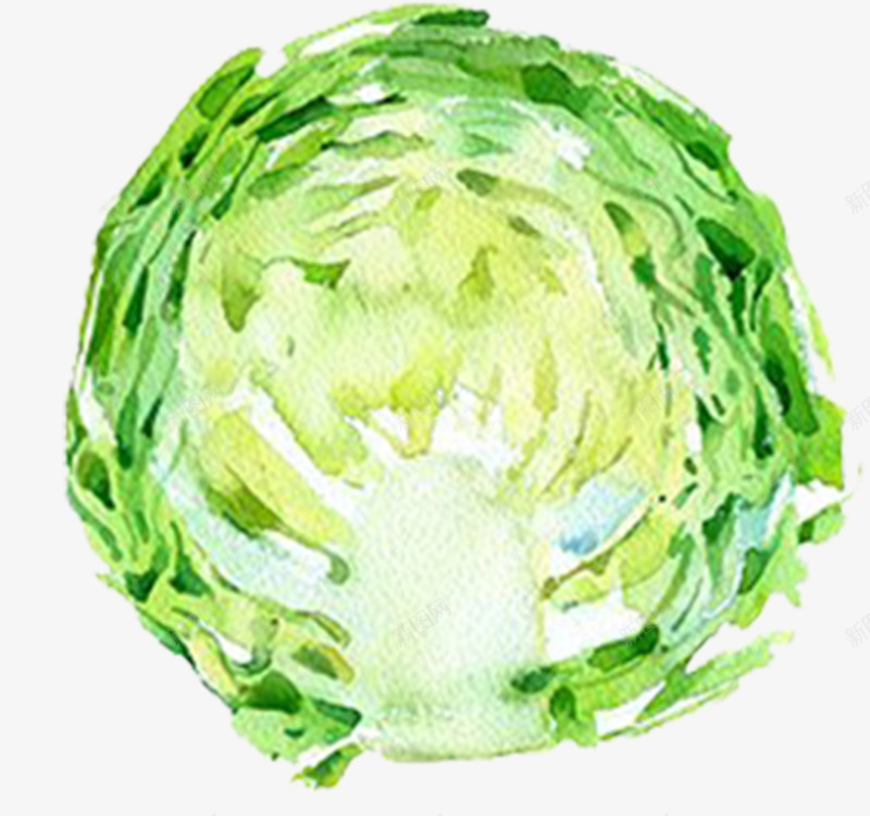 手绘水彩切好的蔬菜白菜psd免抠素材_新图网 https://ixintu.com 切好的蔬菜 手绘蔬菜 有机蔬菜 果蔬 绿色蔬菜 茄子 蔬菜