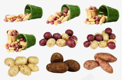 土豆红薯蔬菜集合素材