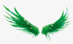 绿色植物翅膀翅膀高清图片
