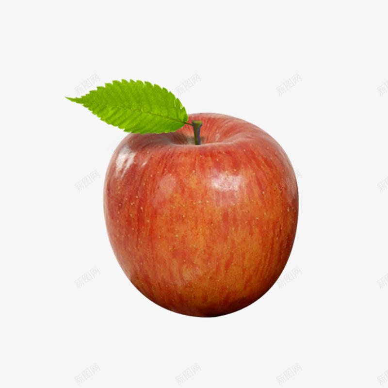成熟苹果png免抠素材_新图网 https://ixintu.com 果蔬 水果 红色 苹果