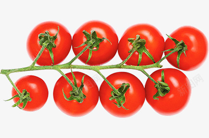 一串小西红柿png免抠素材_新图网 https://ixintu.com 手绘 番茄 蔬菜 西红柿 食品