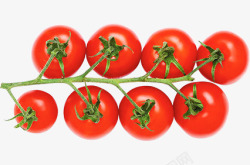 一串西红柿一串小西红柿高清图片