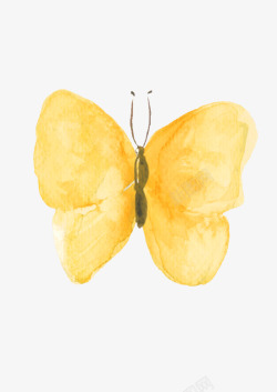 黄色水墨蝴蝶素材