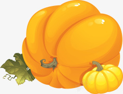 蔬菜水彩画水彩绘画黄色南瓜高清图片