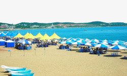 河北黄金冰糖梨蓝色海滩景色高清图片