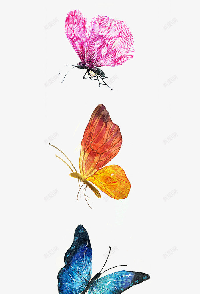漂亮的彩色蝴蝶png免抠素材_新图网 https://ixintu.com 唯美 紫色蝴蝶 翅膀 飞行动物