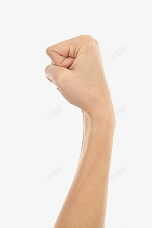 纤细的一只握拳的手png免抠素材_新图网 https://ixintu.com 保护 动作 女性 娇小 愤怒 握拳 握拳的手 纤细 自卫