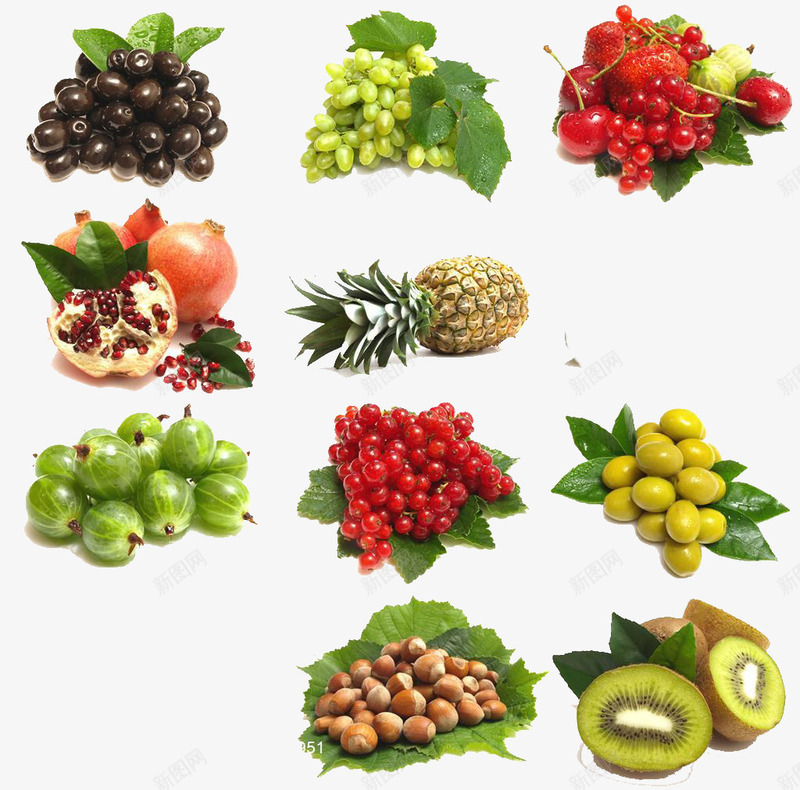 大量新鲜水果聚会png免抠素材_新图网 https://ixintu.com 十六 猕猴桃和樱桃 菠萝 葡萄