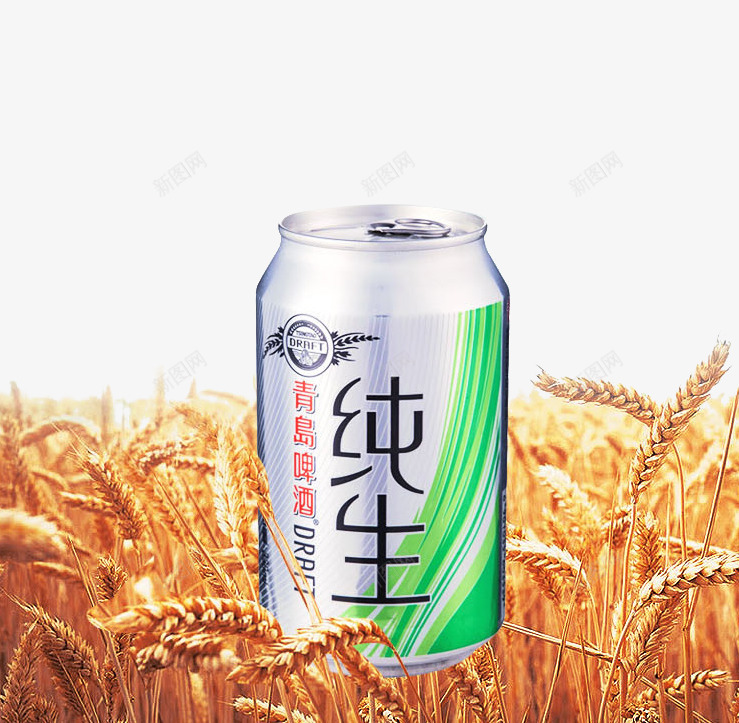 青岛纯生啤酒png免抠素材_新图网 https://ixintu.com 小麦 平面广告 易拉罐 青岛纯生