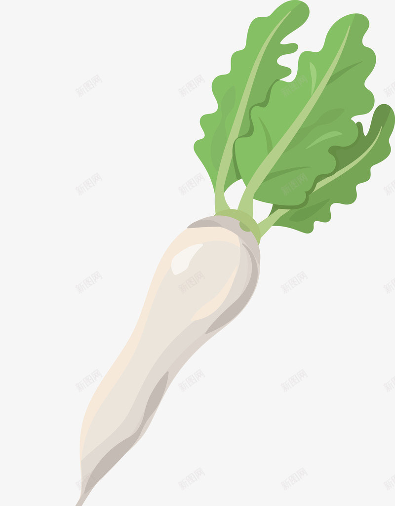 卡通白萝卜png免抠素材_新图网 https://ixintu.com 卡通 卡通食材 手绘 白萝卜 美味 蔬菜 食材 食物