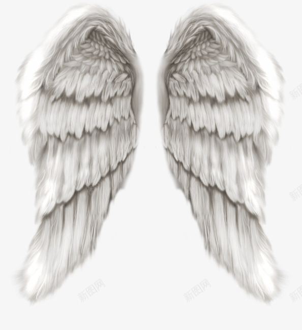 白色天使翅膀图标png_新图网 https://ixintu.com 图标 天使 白色 翅膀
