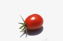 新鲜红色带藤樱桃番茄素材