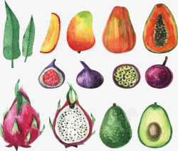 水彩木瓜精美的彩绘水果蔬菜矢量图高清图片