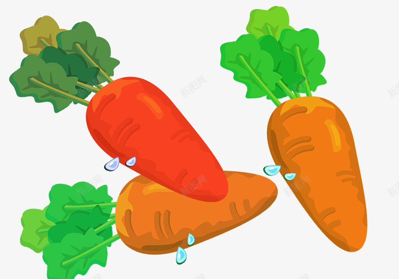 手绘可爱的胡萝卜psd免抠素材_新图网 https://ixintu.com 可爱风格 手绘素材 胡萝卜素材 蔬菜素材