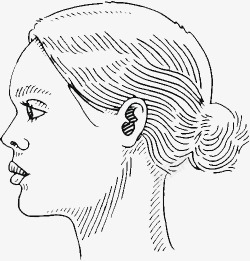 侧脸轮廓侧脸女性脸部轮廓线条画高清图片