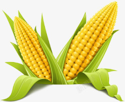 五谷杂粮蔬菜玉米高清图片