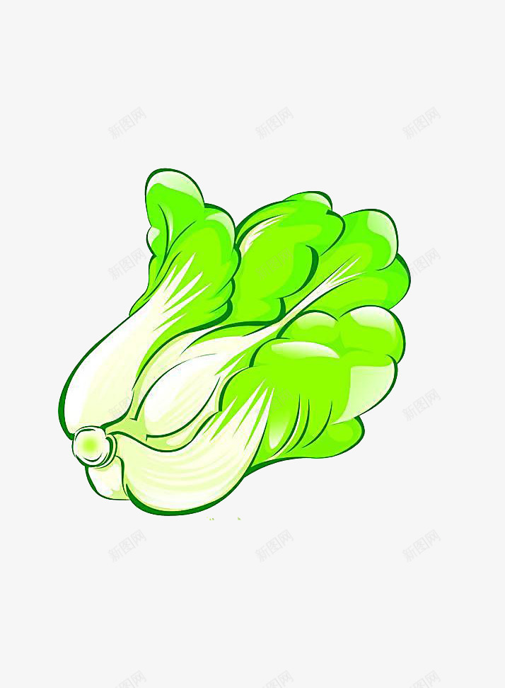 大白菜png免抠素材_新图网 https://ixintu.com 大白菜 插画 绿色 蔬菜
