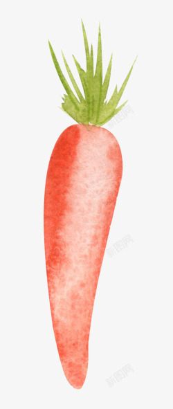 水彩红萝卜手绘水彩蔬菜胡萝卜高清图片